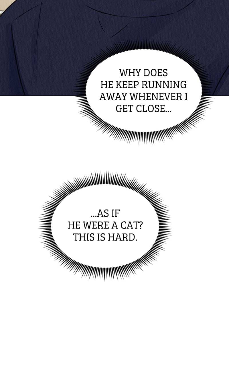 Page https://readmanhwaverse.com/images/want-to-see-my-cat/chapter-4/028.jpg