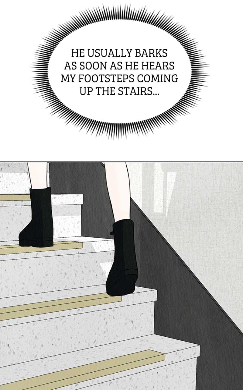 Page https://readmanhwaverse.com/images/want-to-see-my-cat/chapter-4/083.jpg