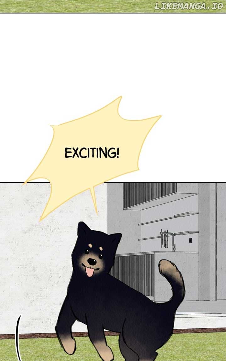 Page https://readmanhwaverse.com/images/want-to-see-my-cat/chapter-41/ch_41_50.jpg
