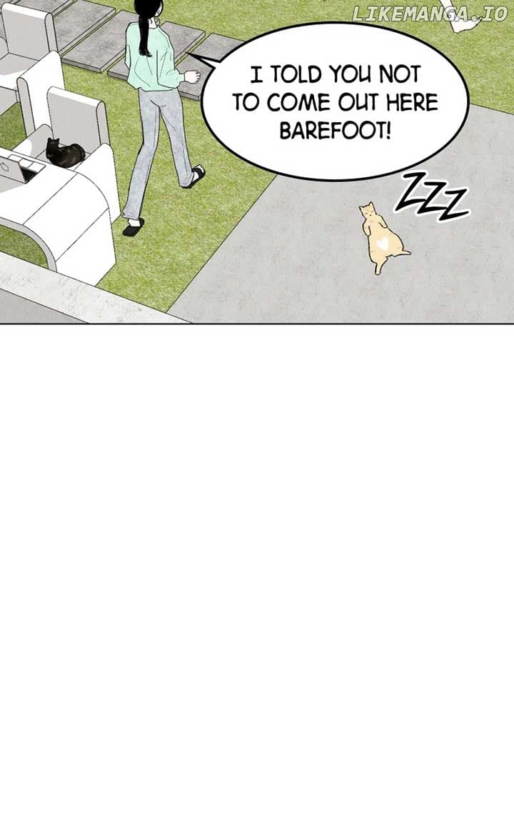 Page https://readmanhwaverse.com/images/want-to-see-my-cat/chapter-41/ch_41_52.jpg