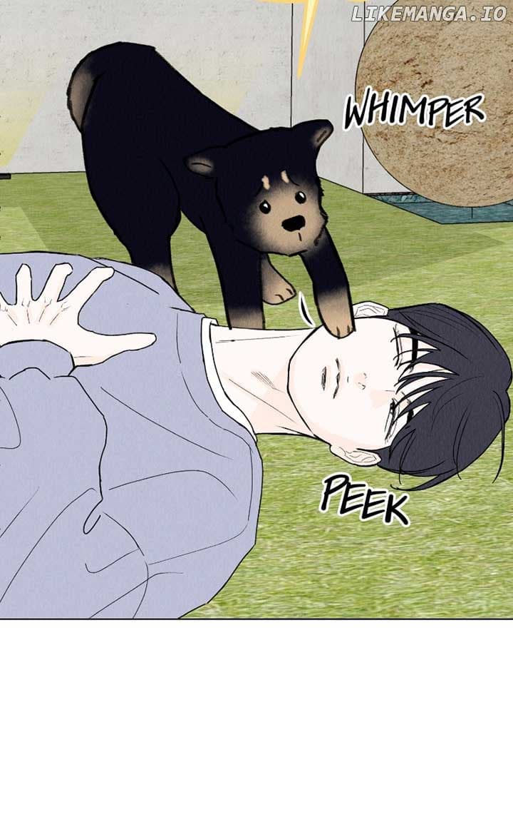 Page https://readmanhwaverse.com/images/want-to-see-my-cat/chapter-42/ch_42_54.jpg
