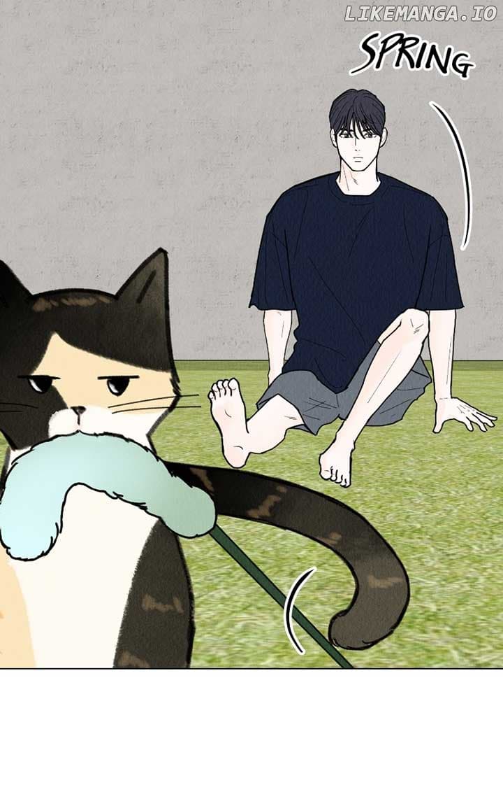 Page https://readmanhwaverse.com/images/want-to-see-my-cat/chapter-43/ch_43_29.jpg