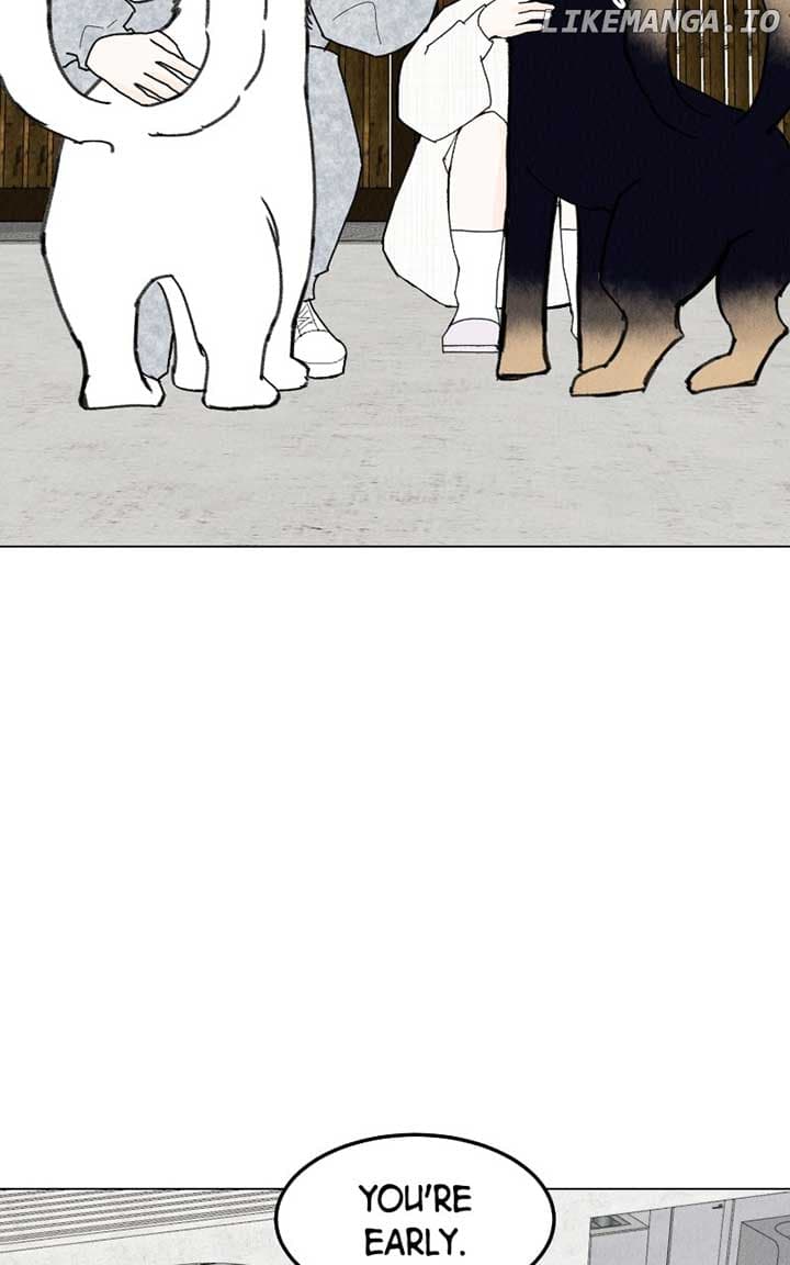 Page https://readmanhwaverse.com/images/want-to-see-my-cat/chapter-45/ch_45_38.jpg
