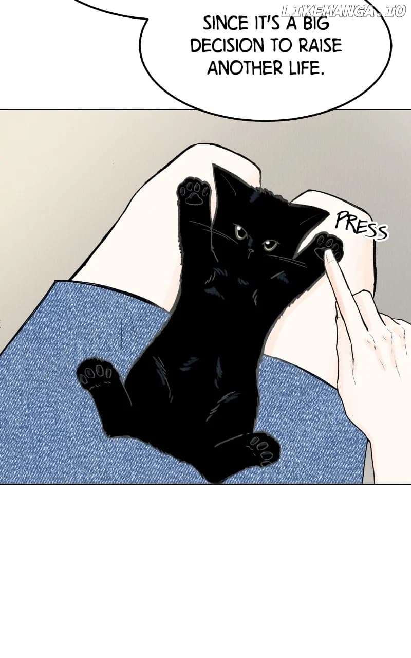 Page https://readmanhwaverse.com/images/want-to-see-my-cat/chapter-47/ch_47_37.webp