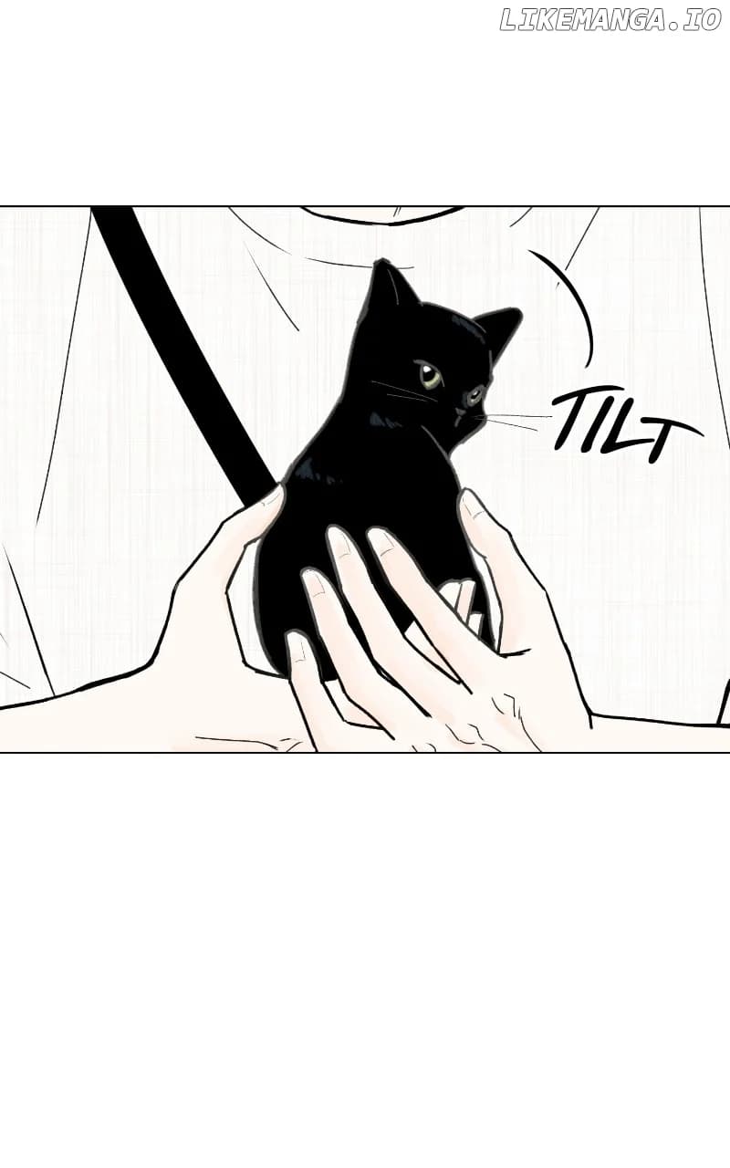 Page https://readmanhwaverse.com/images/want-to-see-my-cat/chapter-47/ch_47_52.webp