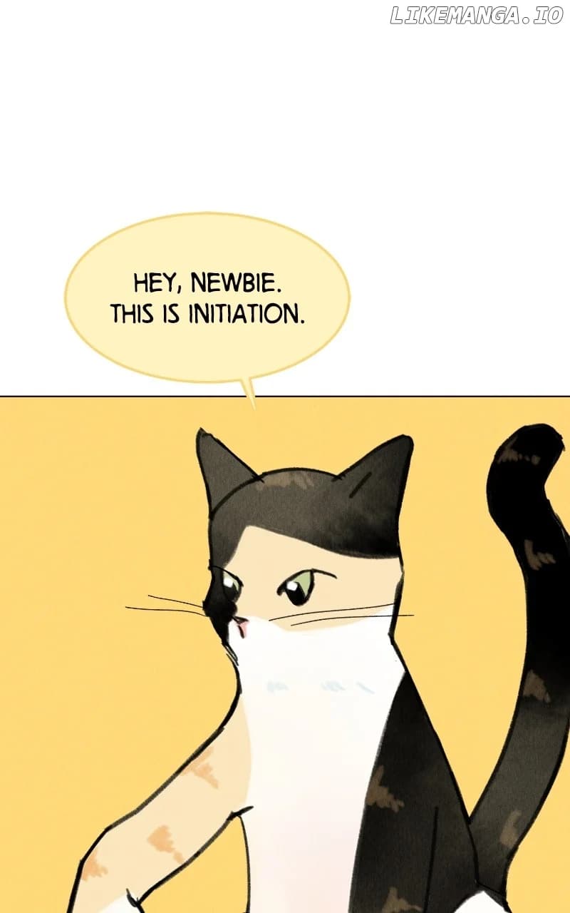 Page https://readmanhwaverse.com/images/want-to-see-my-cat/chapter-48/ch_48_35.webp