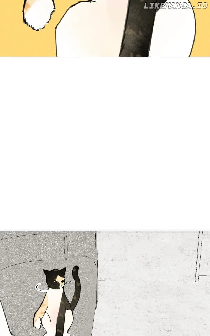 Page https://readmanhwaverse.com/images/want-to-see-my-cat/chapter-48/ch_48_36.webp