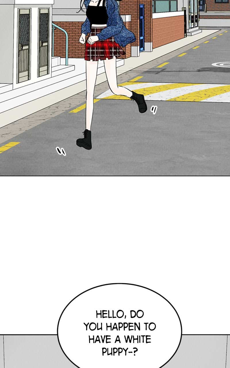 Page https://readmanhwaverse.com/images/want-to-see-my-cat/chapter-5/04.jpg
