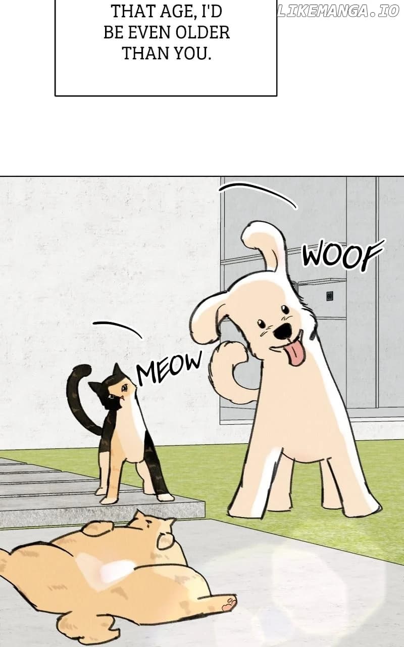 Page https://readmanhwaverse.com/images/want-to-see-my-cat/chapter-50/ch_50_33.webp