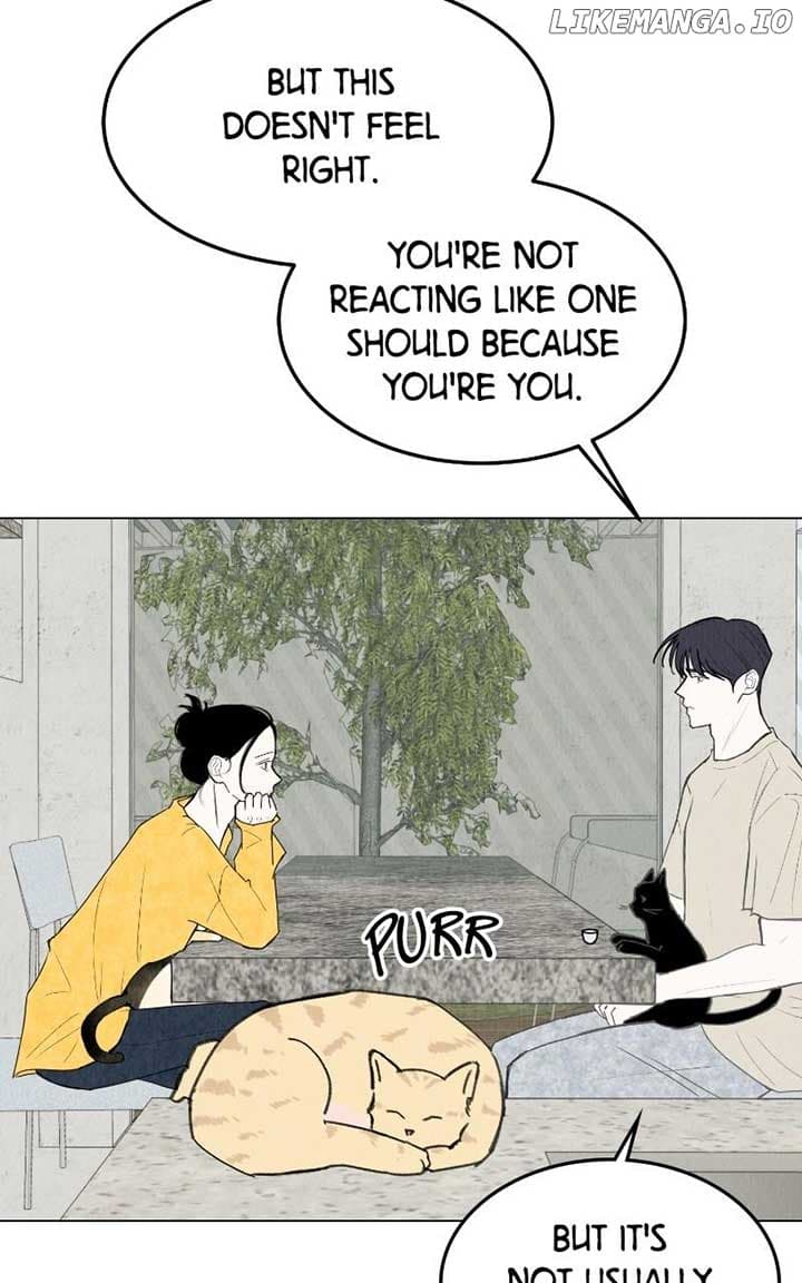 Page https://readmanhwaverse.com/images/want-to-see-my-cat/chapter-54/ch_54_48.jpg