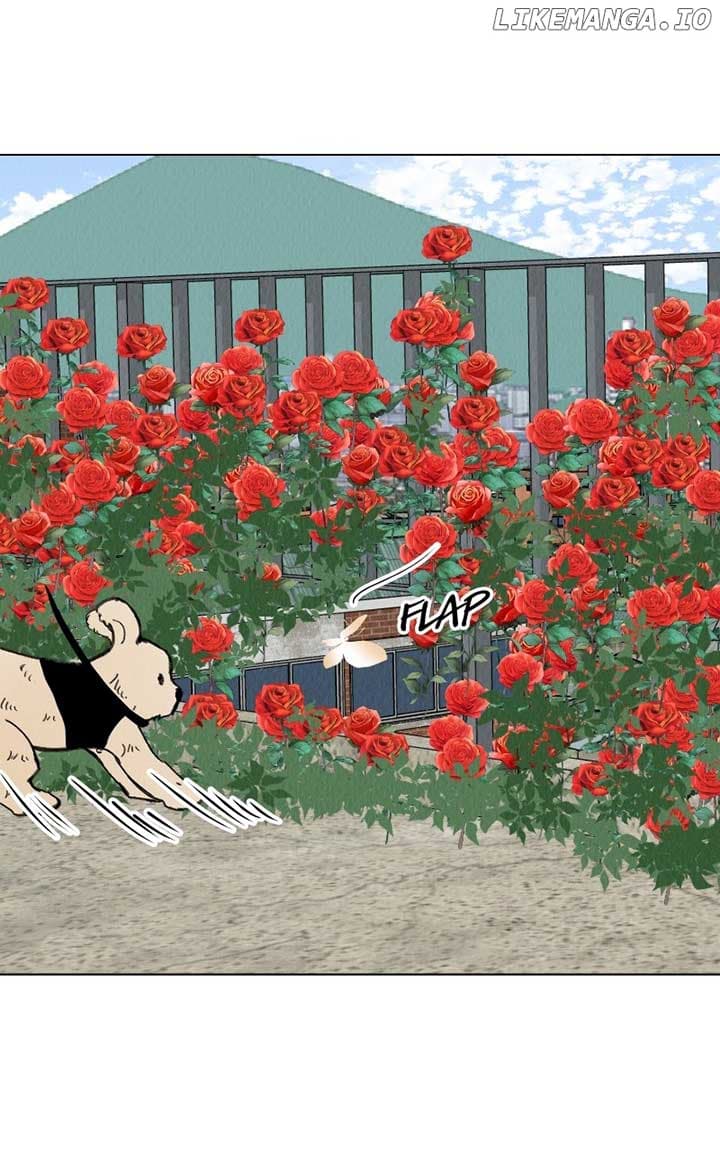 Page https://readmanhwaverse.com/images/want-to-see-my-cat/chapter-55/ch_55_57.jpg