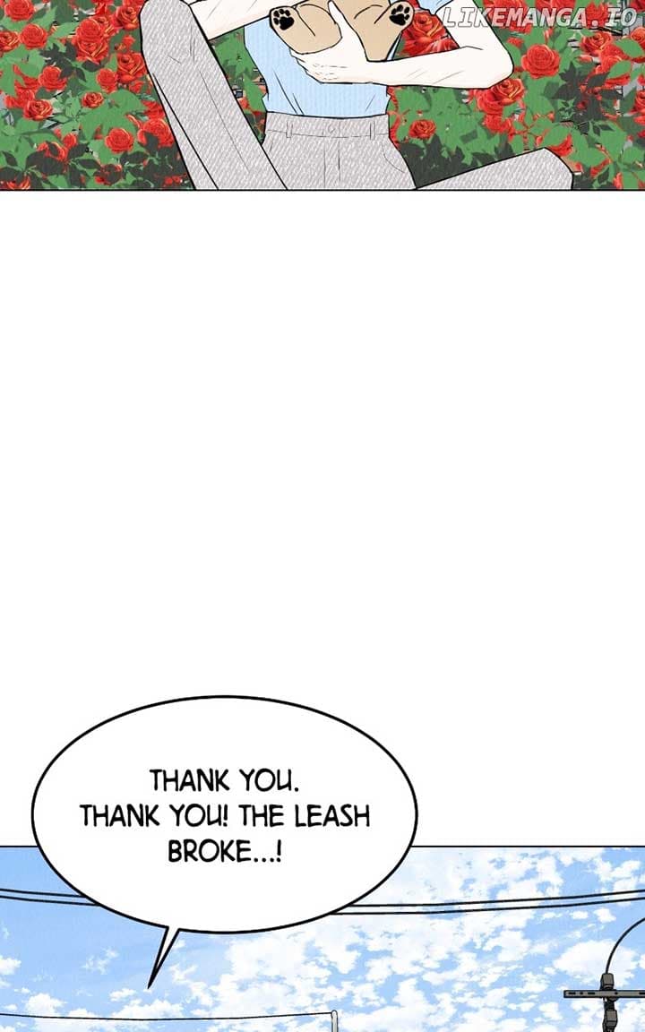 Page https://readmanhwaverse.com/images/want-to-see-my-cat/chapter-55/ch_55_61.jpg