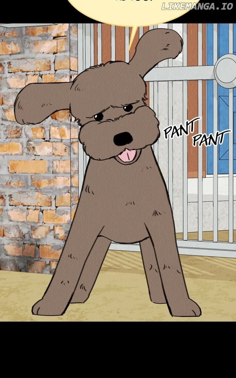 Page https://readmanhwaverse.com/images/want-to-see-my-cat/chapter-58/ch_58_41.webp