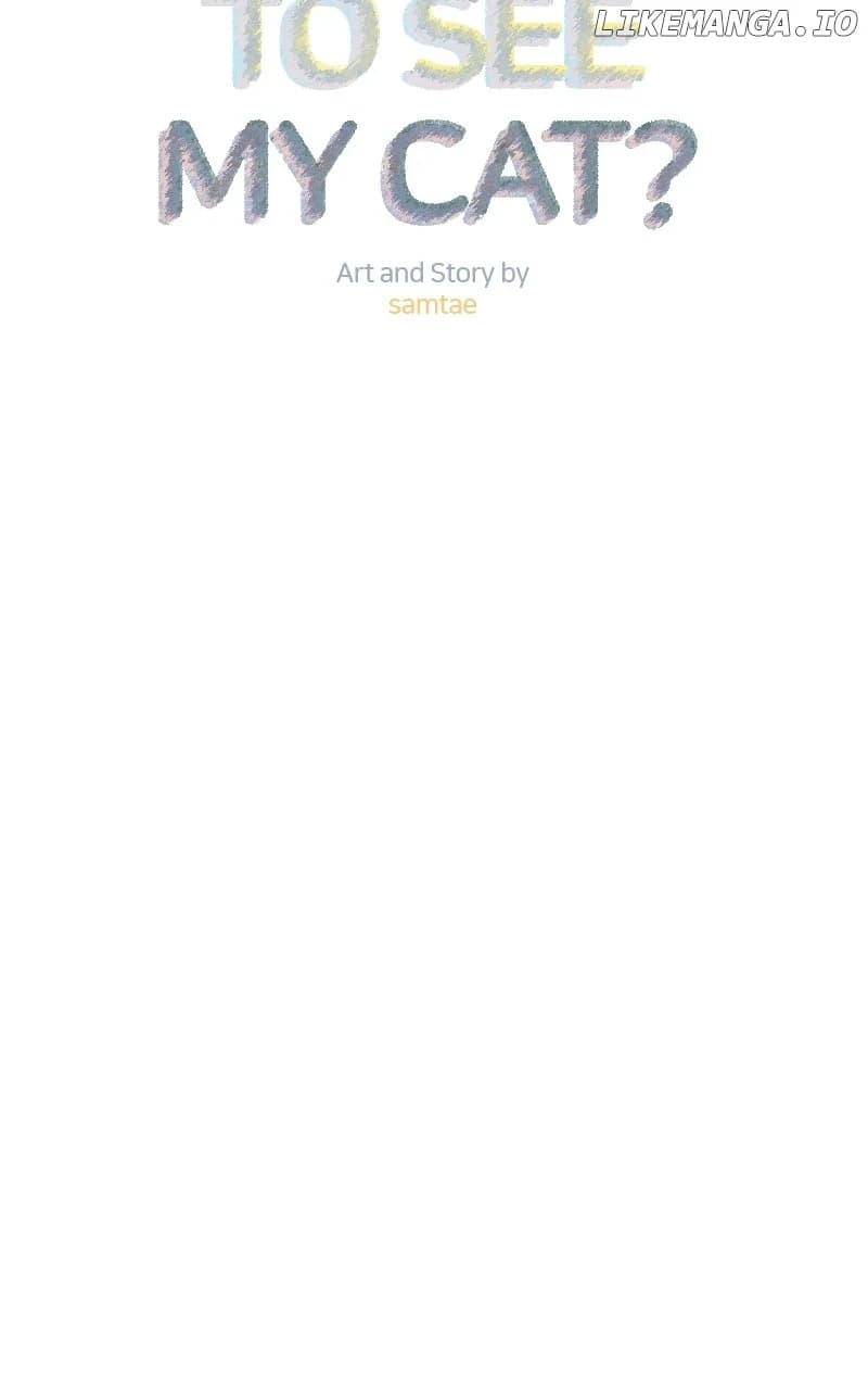 Page https://readmanhwaverse.com/images/want-to-see-my-cat/chapter-59/ch_59_7.webp