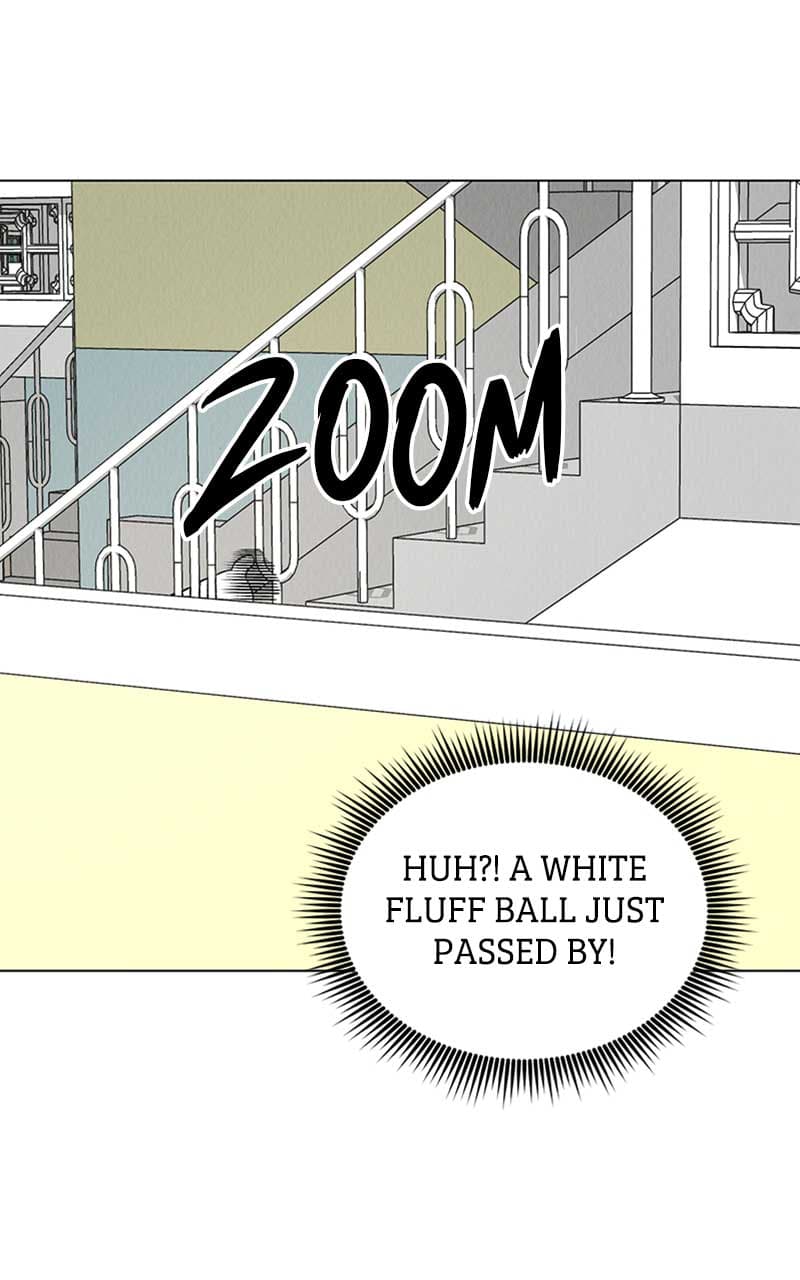 Page https://readmanhwaverse.com/images/want-to-see-my-cat/chapter-6/019.jpg