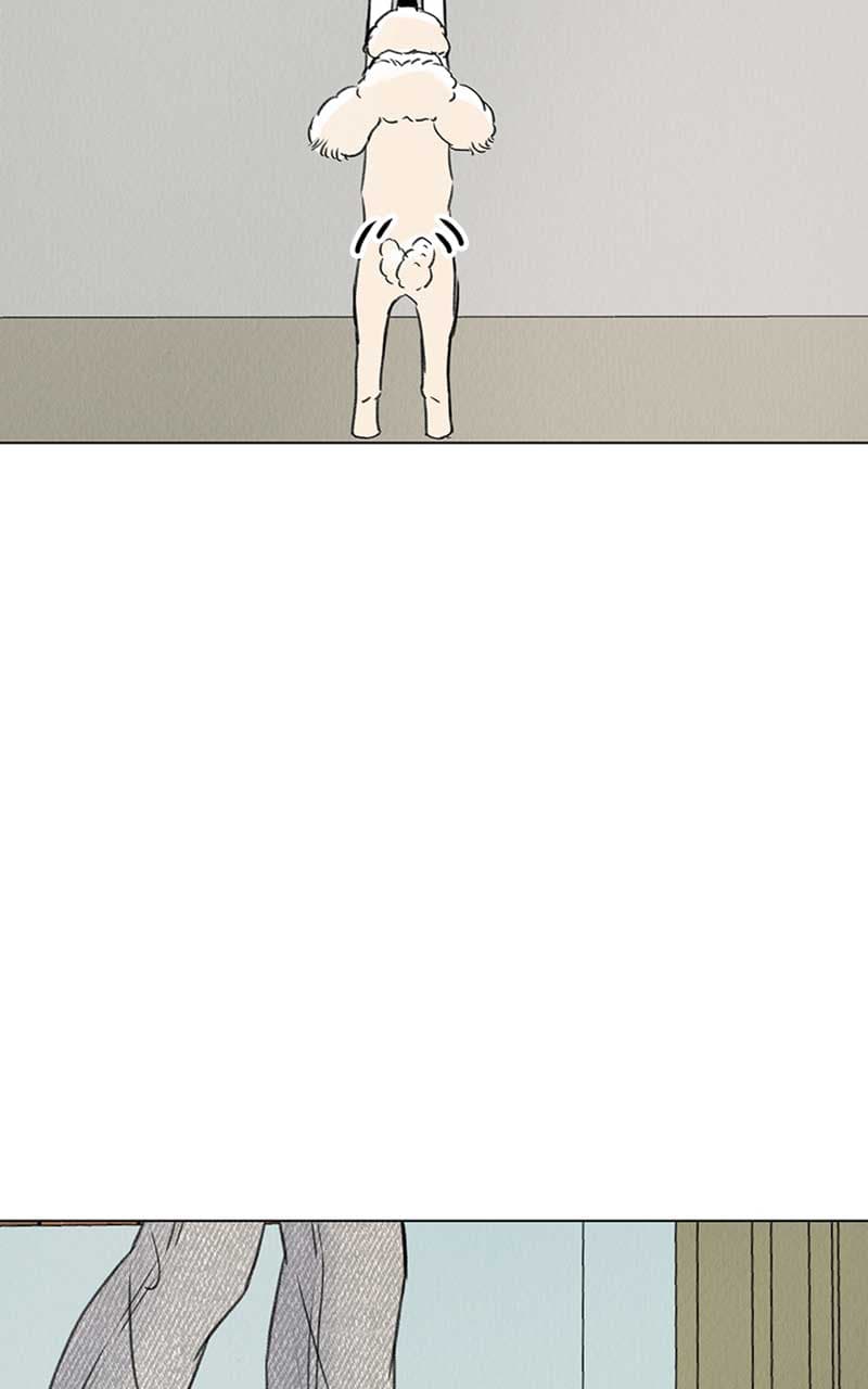Page https://readmanhwaverse.com/images/want-to-see-my-cat/chapter-6/022.jpg