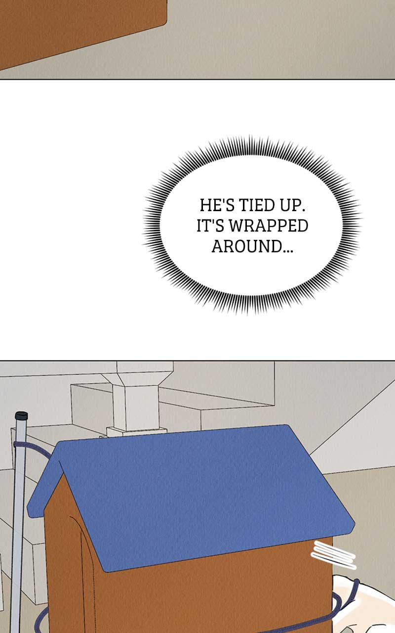Page https://readmanhwaverse.com/images/want-to-see-my-cat/chapter-6/029.jpg