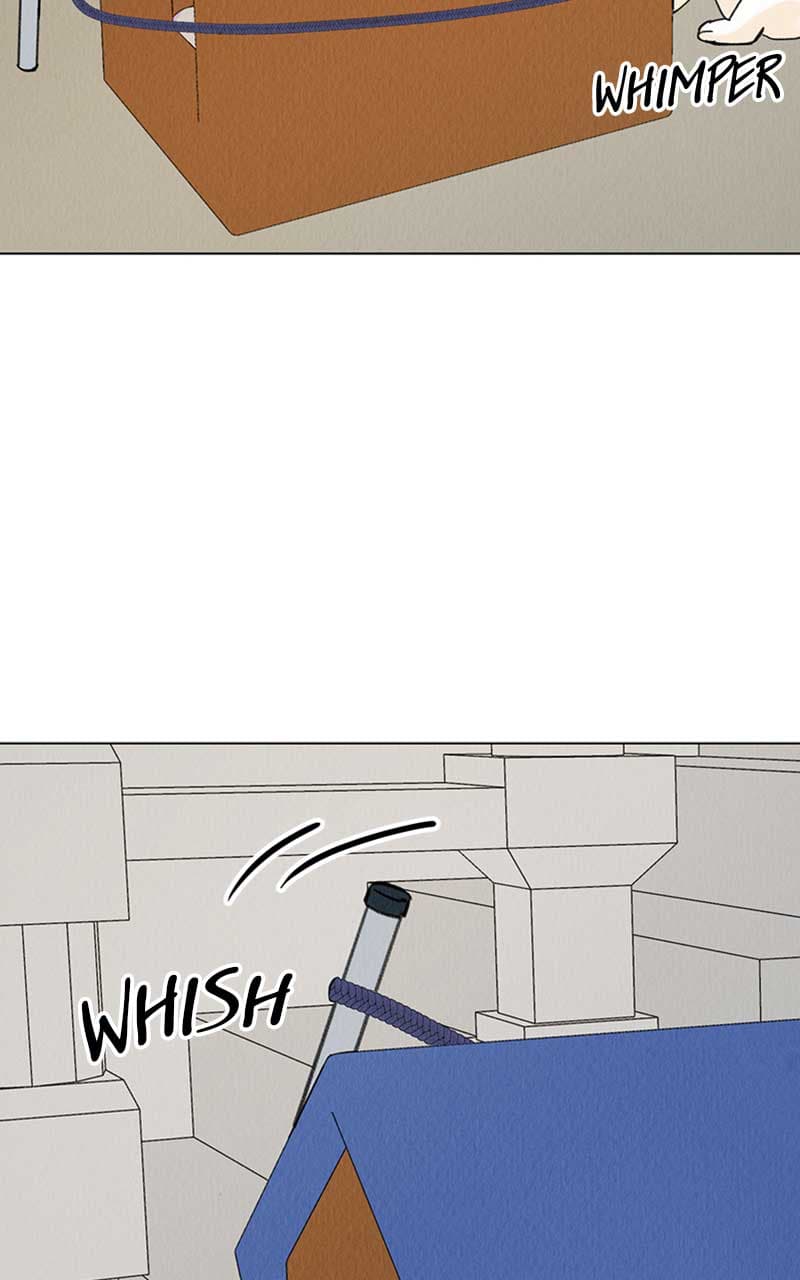Page https://readmanhwaverse.com/images/want-to-see-my-cat/chapter-6/030.jpg