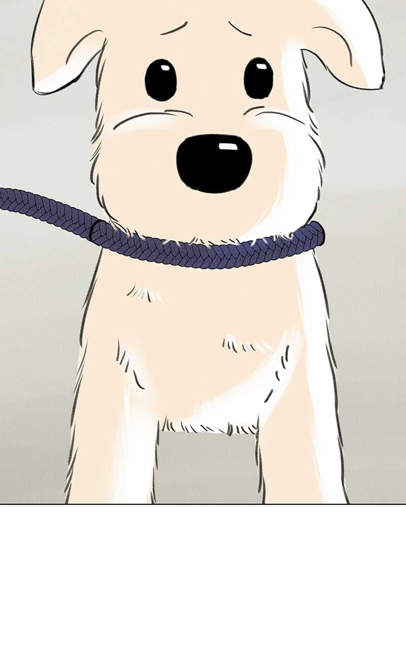 Page https://readmanhwaverse.com/images/want-to-see-my-cat/chapter-6/033.jpg
