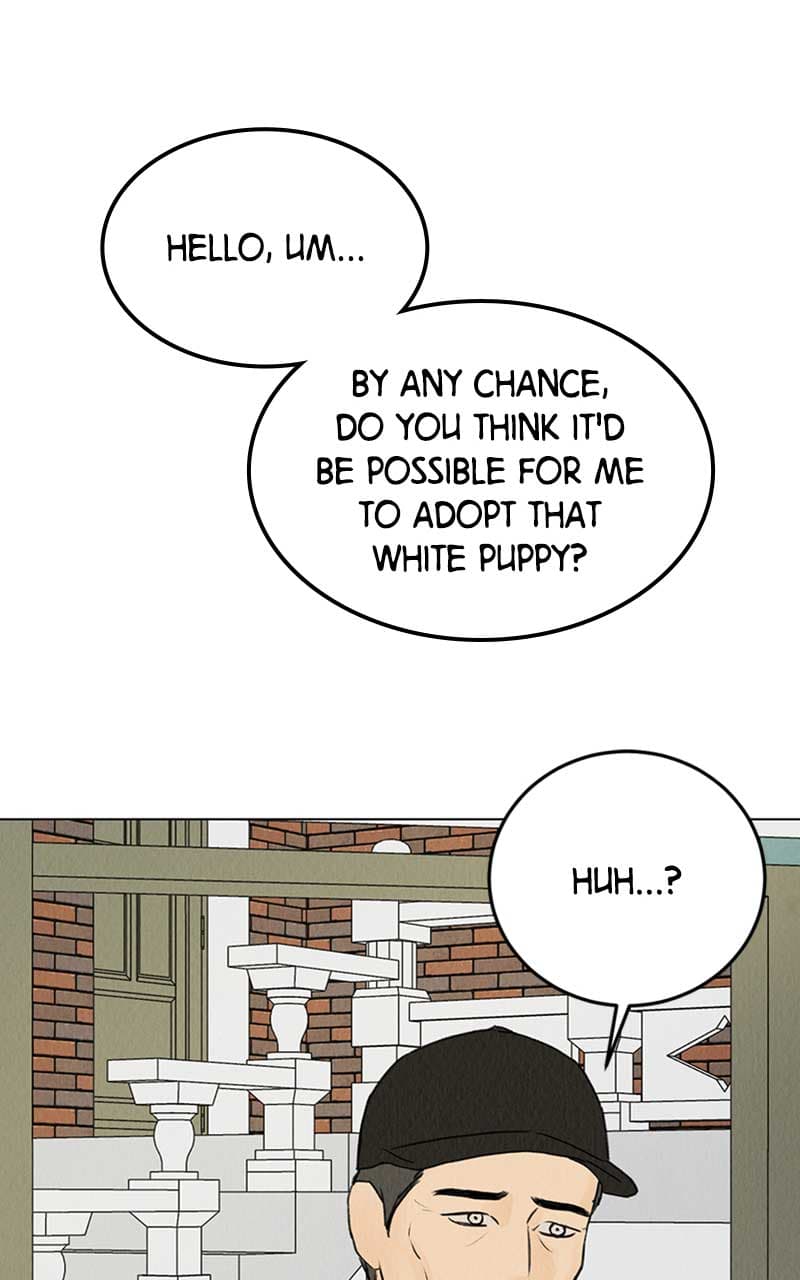 Page https://readmanhwaverse.com/images/want-to-see-my-cat/chapter-6/037.jpg