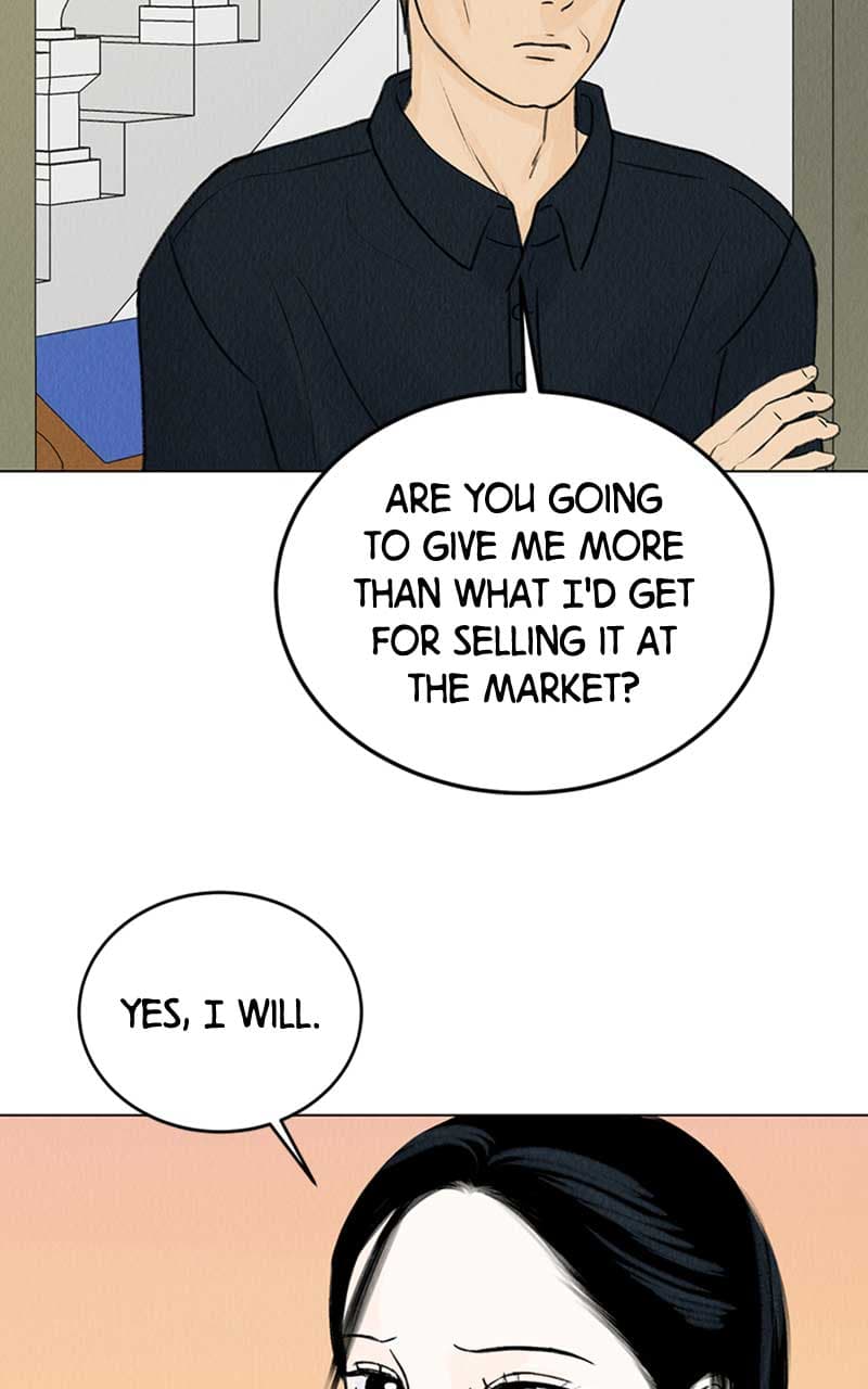 Page https://readmanhwaverse.com/images/want-to-see-my-cat/chapter-6/038.jpg