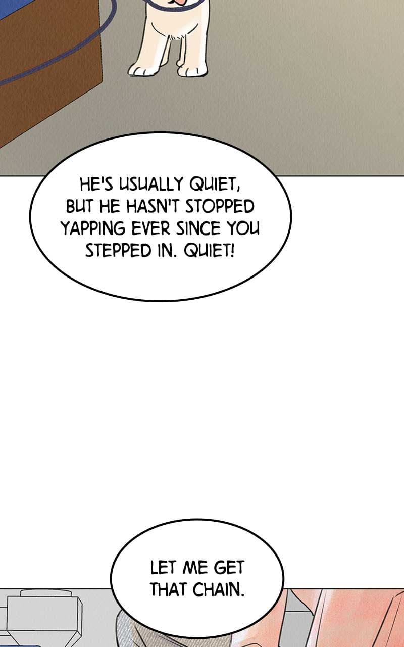 Page https://readmanhwaverse.com/images/want-to-see-my-cat/chapter-6/043.jpg