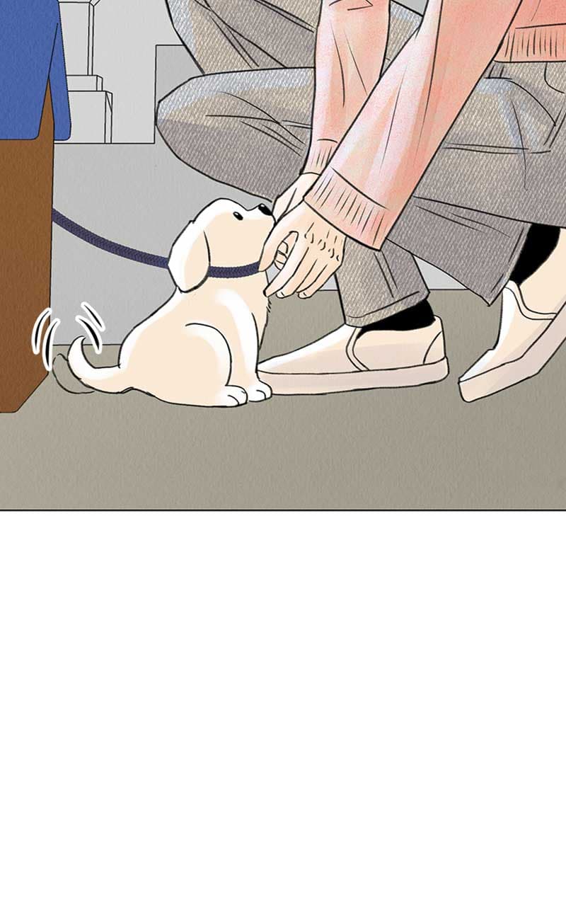 Page https://readmanhwaverse.com/images/want-to-see-my-cat/chapter-6/044.jpg