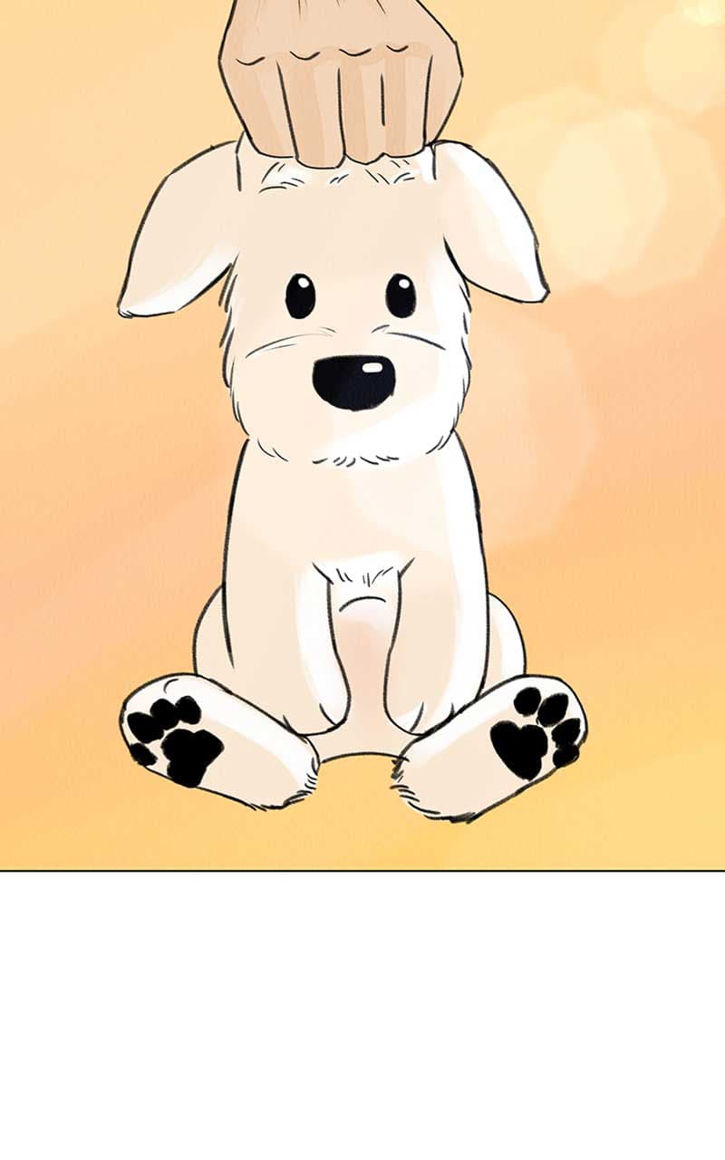 Page https://readmanhwaverse.com/images/want-to-see-my-cat/chapter-6/054.jpg