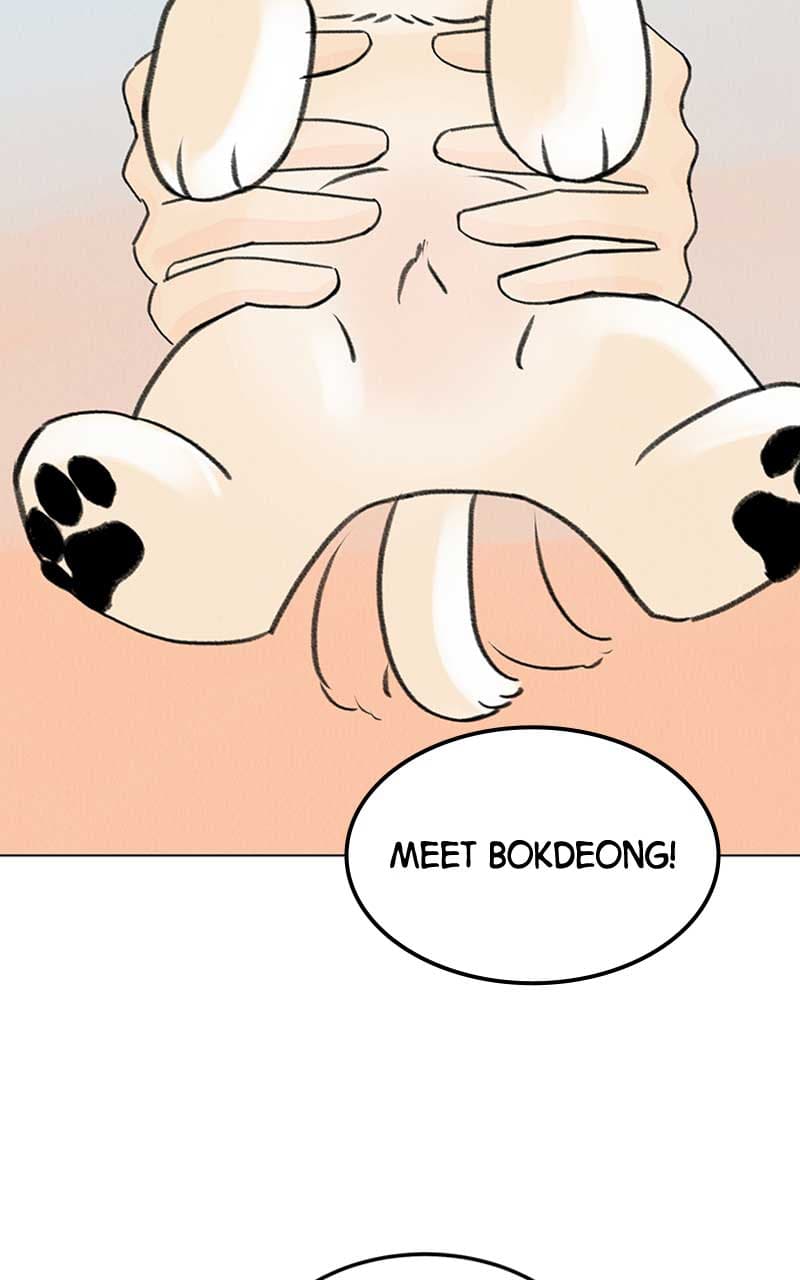 Page https://readmanhwaverse.com/images/want-to-see-my-cat/chapter-6/059.jpg