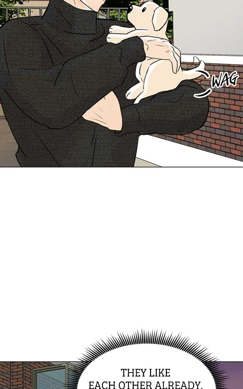 Page https://readmanhwaverse.com/images/want-to-see-my-cat/chapter-6/062.jpg