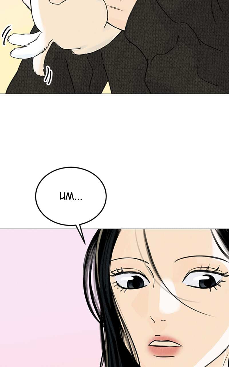 Page https://readmanhwaverse.com/images/want-to-see-my-cat/chapter-6/065.jpg