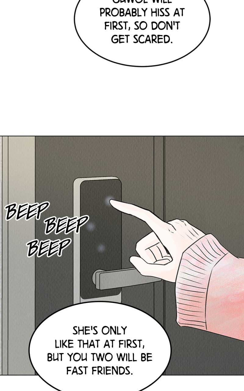 Page https://readmanhwaverse.com/images/want-to-see-my-cat/chapter-6/071.jpg