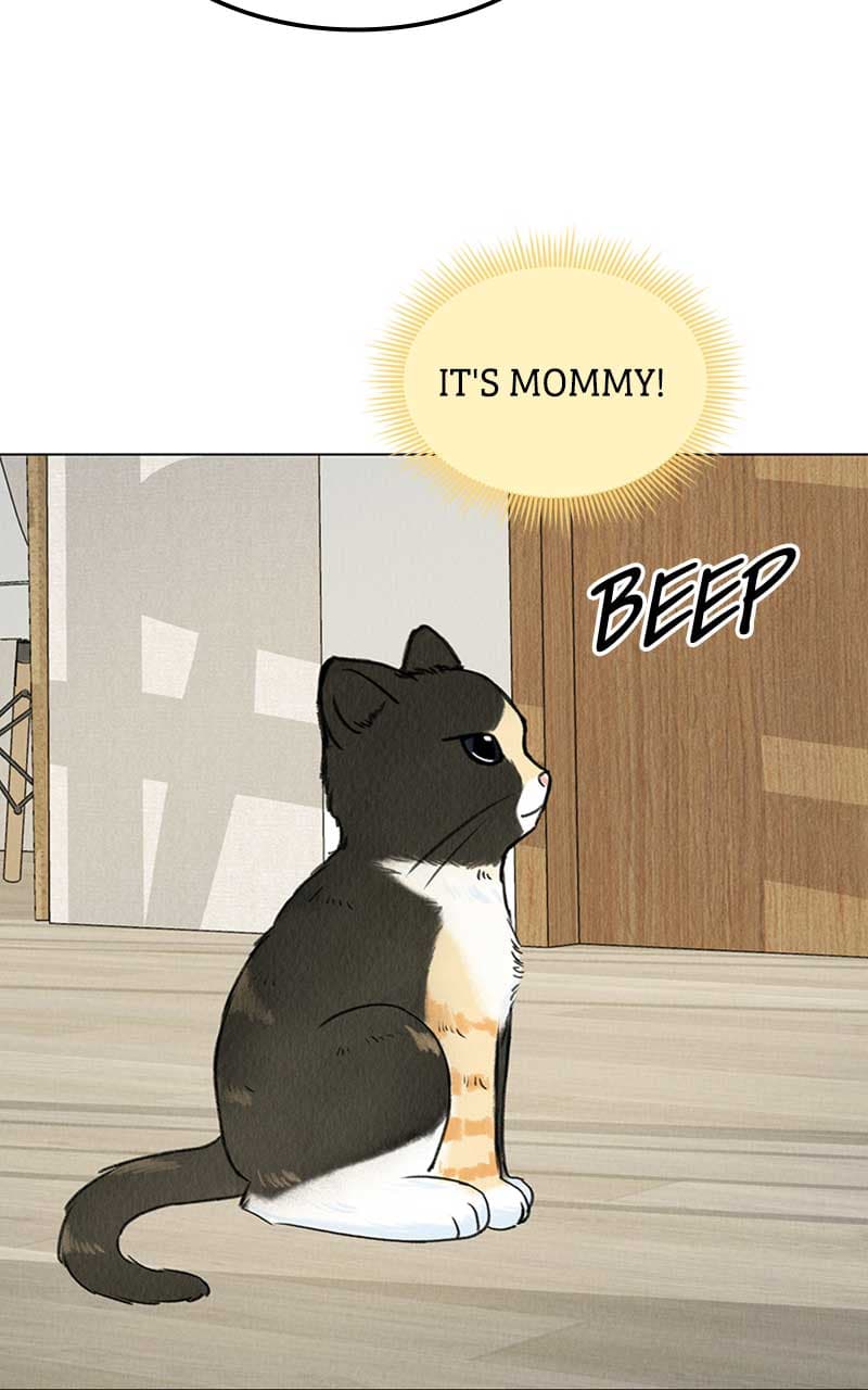Page https://readmanhwaverse.com/images/want-to-see-my-cat/chapter-6/072.jpg