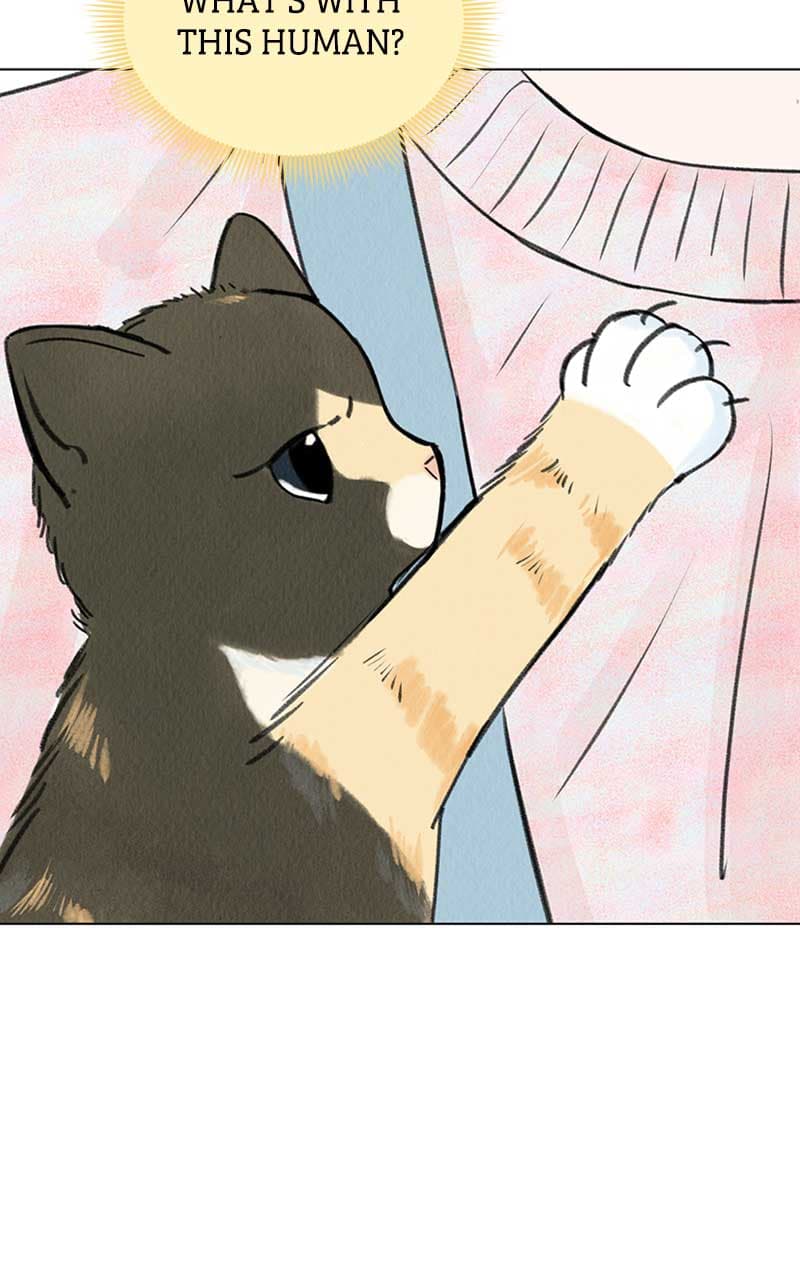 Page https://readmanhwaverse.com/images/want-to-see-my-cat/chapter-6/076.jpg