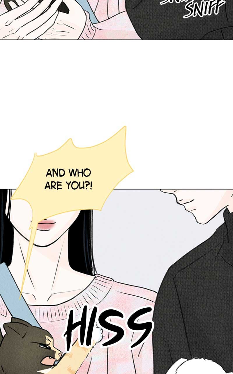 Page https://readmanhwaverse.com/images/want-to-see-my-cat/chapter-6/078.jpg