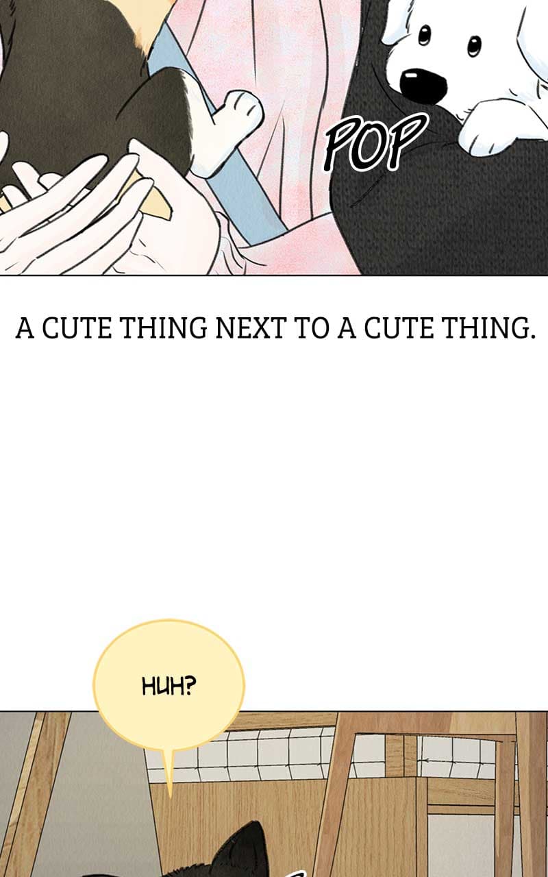Page https://readmanhwaverse.com/images/want-to-see-my-cat/chapter-6/079.jpg