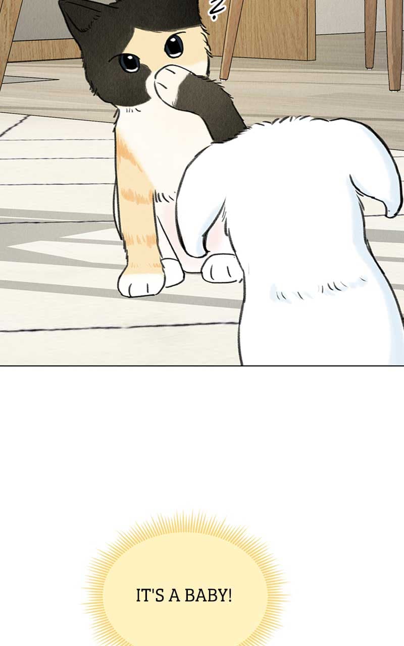 Page https://readmanhwaverse.com/images/want-to-see-my-cat/chapter-6/080.jpg