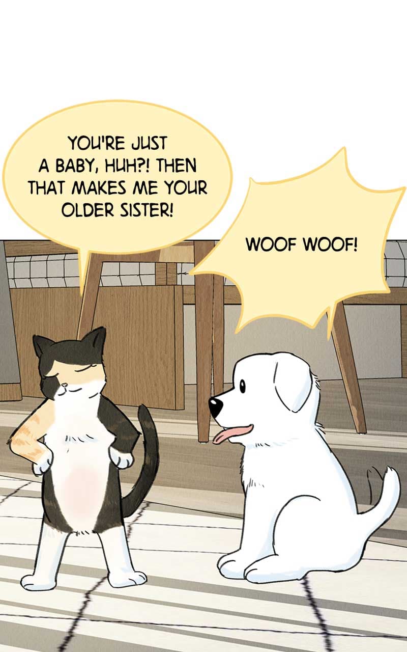 Page https://readmanhwaverse.com/images/want-to-see-my-cat/chapter-6/082.jpg