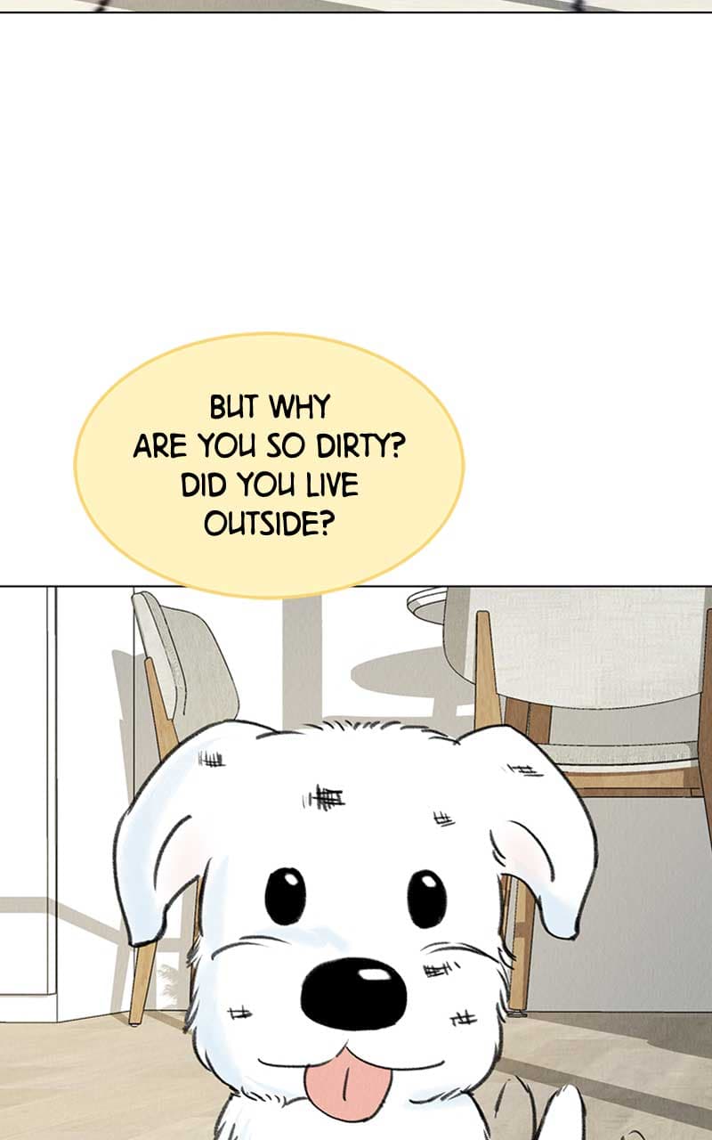 Page https://readmanhwaverse.com/images/want-to-see-my-cat/chapter-6/083.jpg