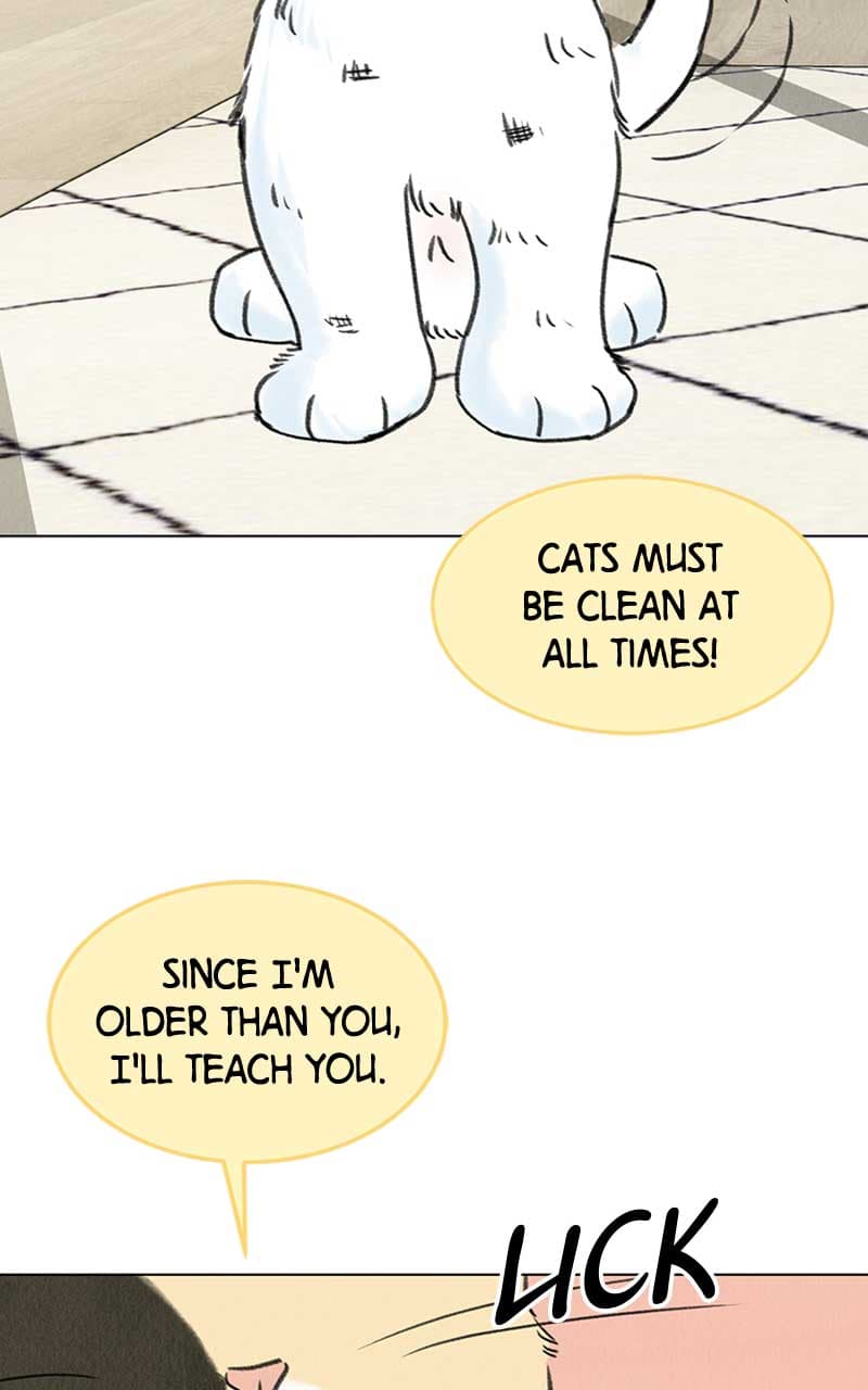 Page https://readmanhwaverse.com/images/want-to-see-my-cat/chapter-6/084.jpg