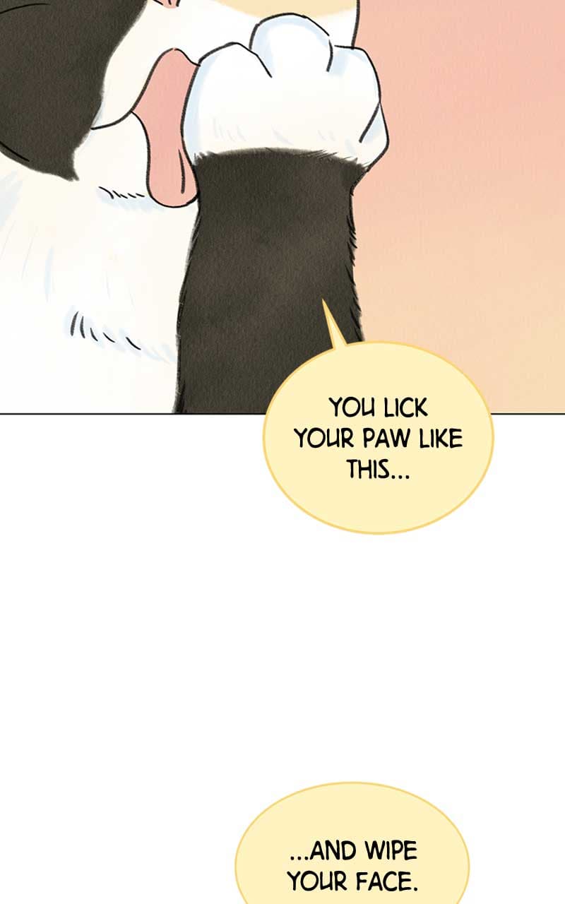 Page https://readmanhwaverse.com/images/want-to-see-my-cat/chapter-6/085.jpg