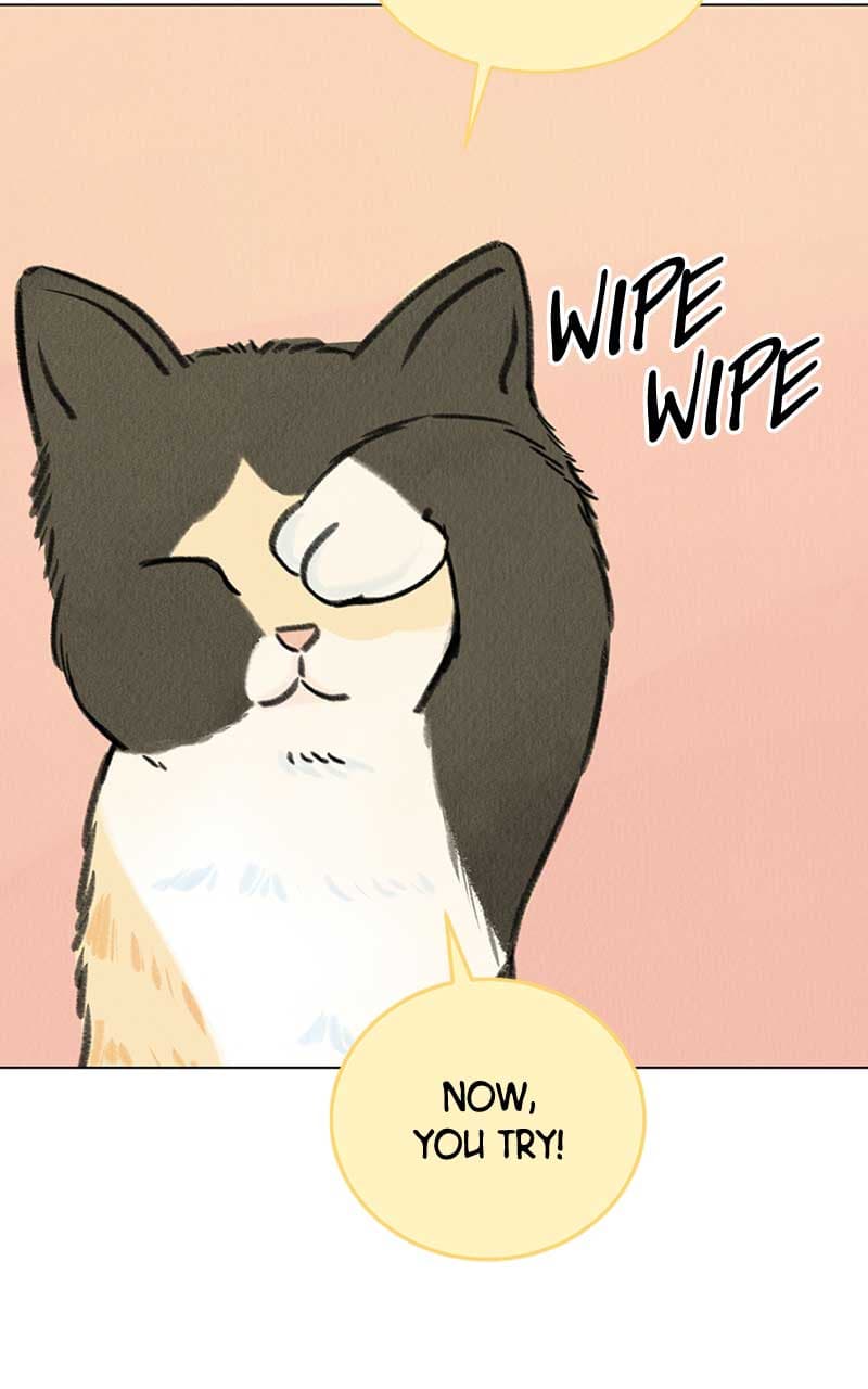 Page https://readmanhwaverse.com/images/want-to-see-my-cat/chapter-6/086.jpg