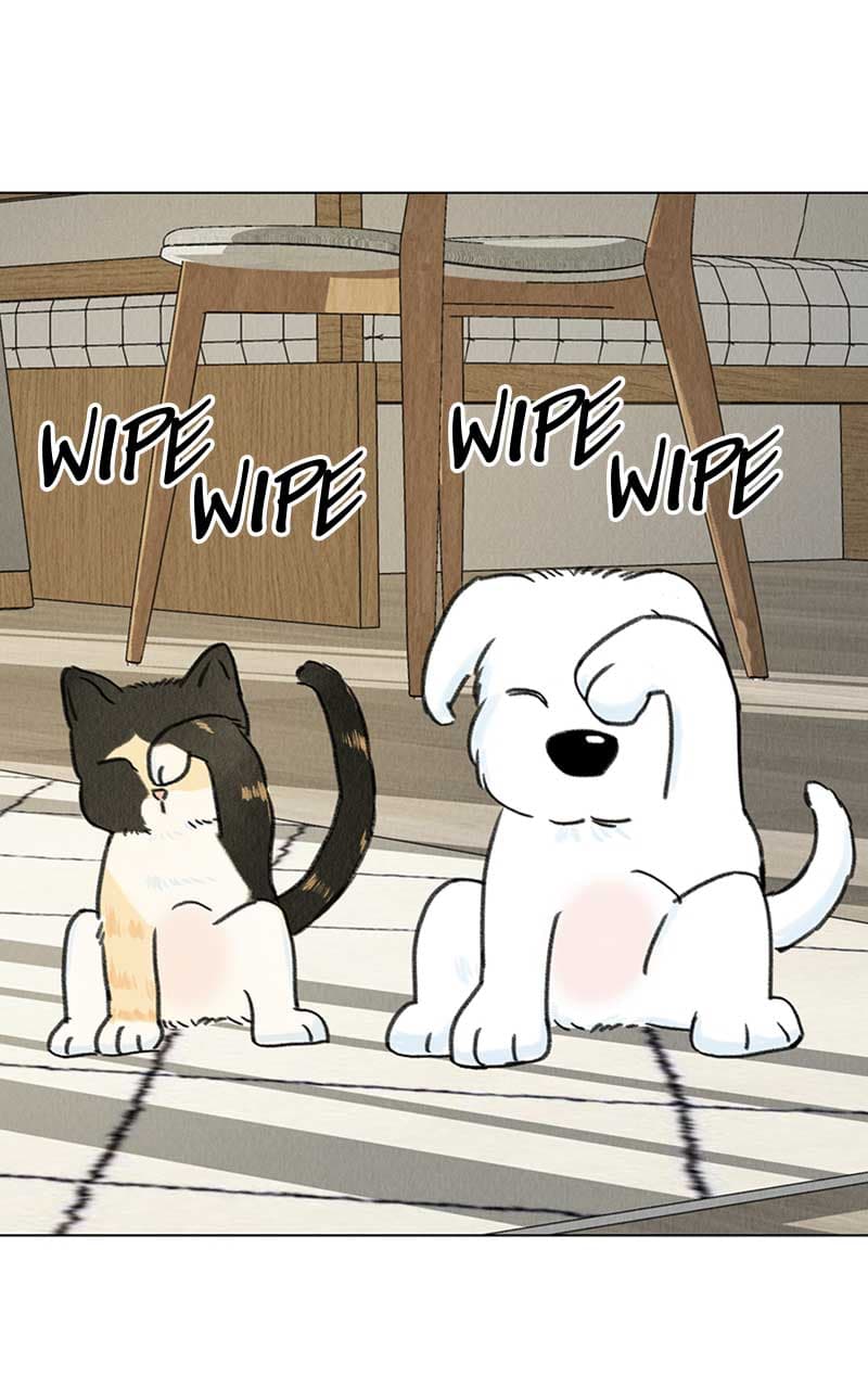 Page https://readmanhwaverse.com/images/want-to-see-my-cat/chapter-6/087.jpg