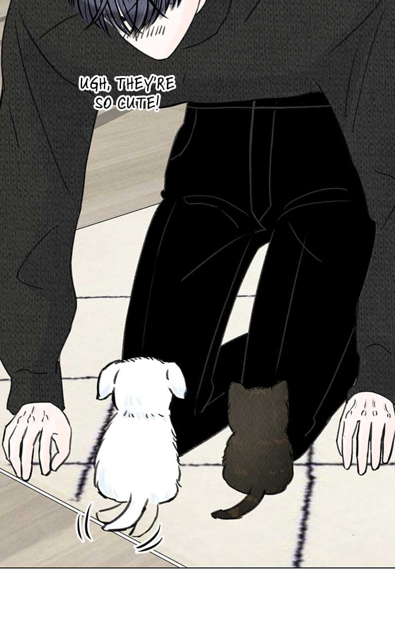 Page https://readmanhwaverse.com/images/want-to-see-my-cat/chapter-6/089.jpg