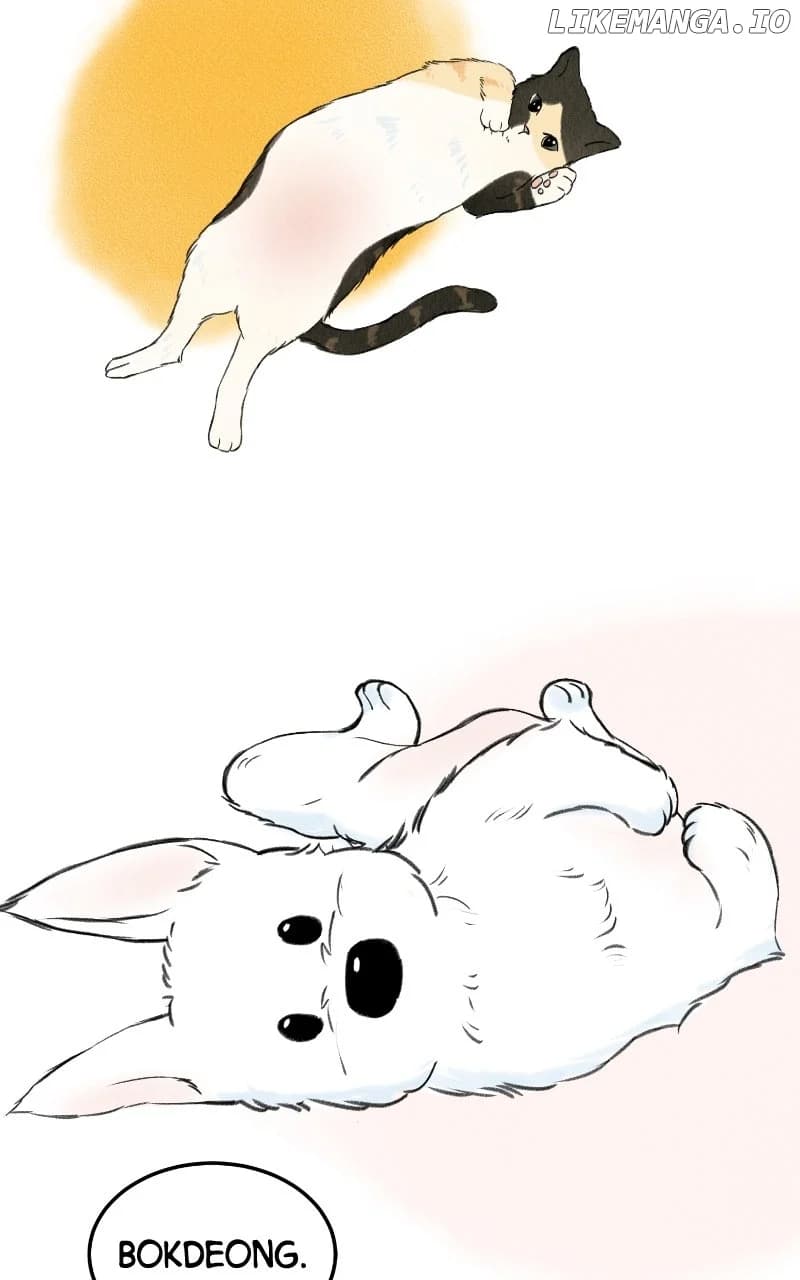 Page https://readmanhwaverse.com/images/want-to-see-my-cat/chapter-63/ch_63_70.webp
