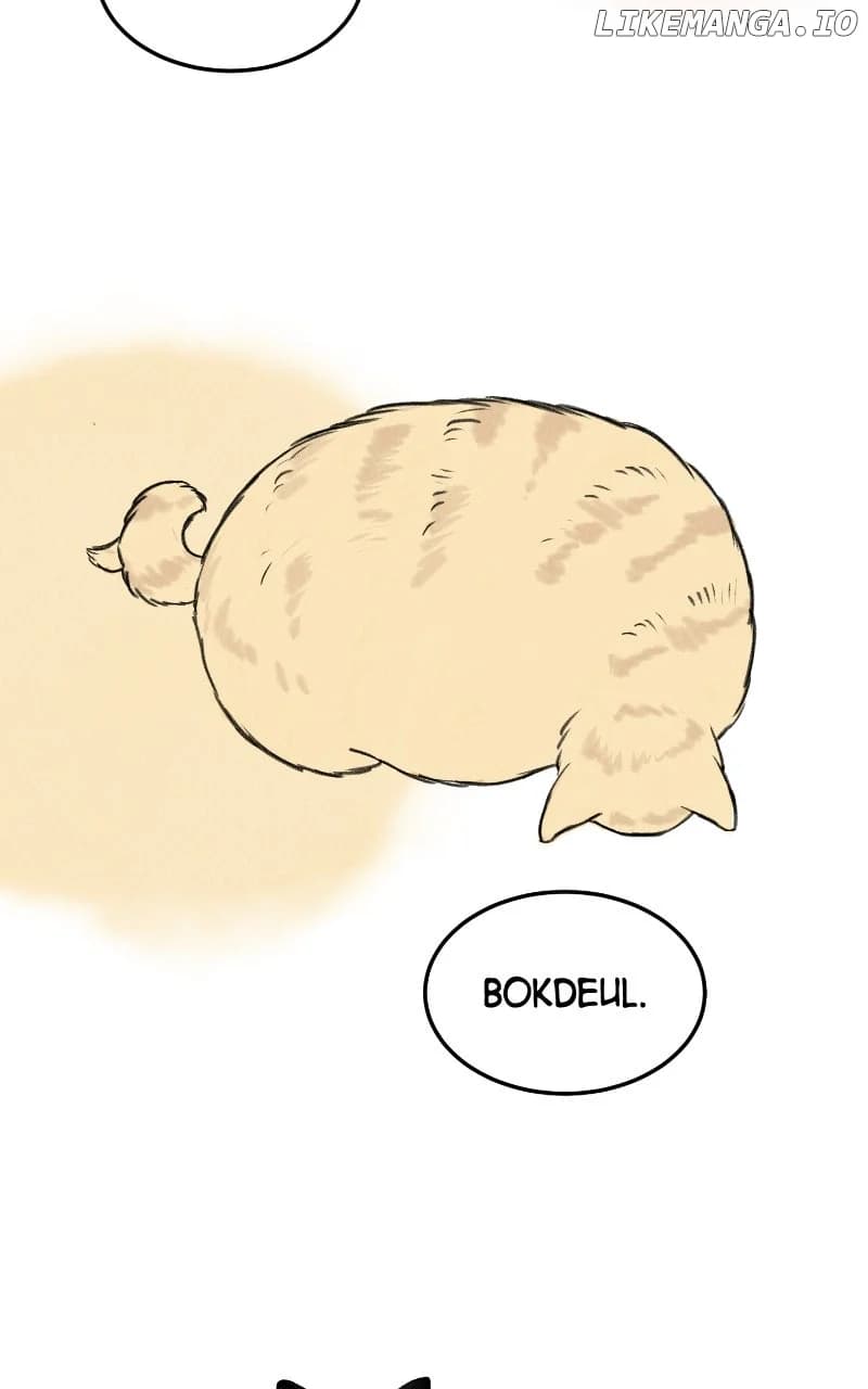 Page https://readmanhwaverse.com/images/want-to-see-my-cat/chapter-63/ch_63_71.webp