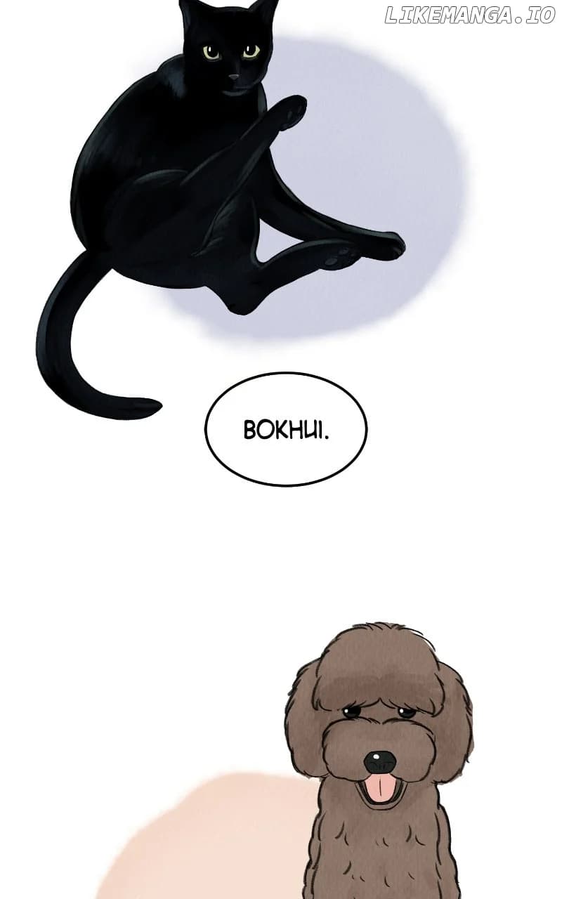 Page https://readmanhwaverse.com/images/want-to-see-my-cat/chapter-63/ch_63_72.webp