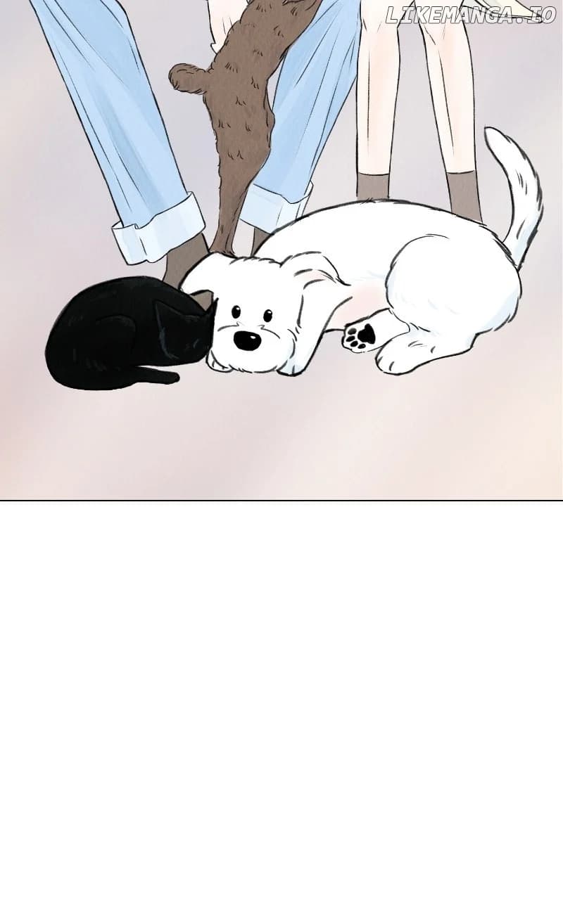 Page https://readmanhwaverse.com/images/want-to-see-my-cat/chapter-63/ch_63_77.webp