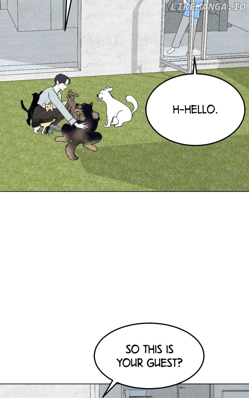 Page https://readmanhwaverse.com/images/want-to-see-my-cat/chapter-65/ch_65_36.jpg