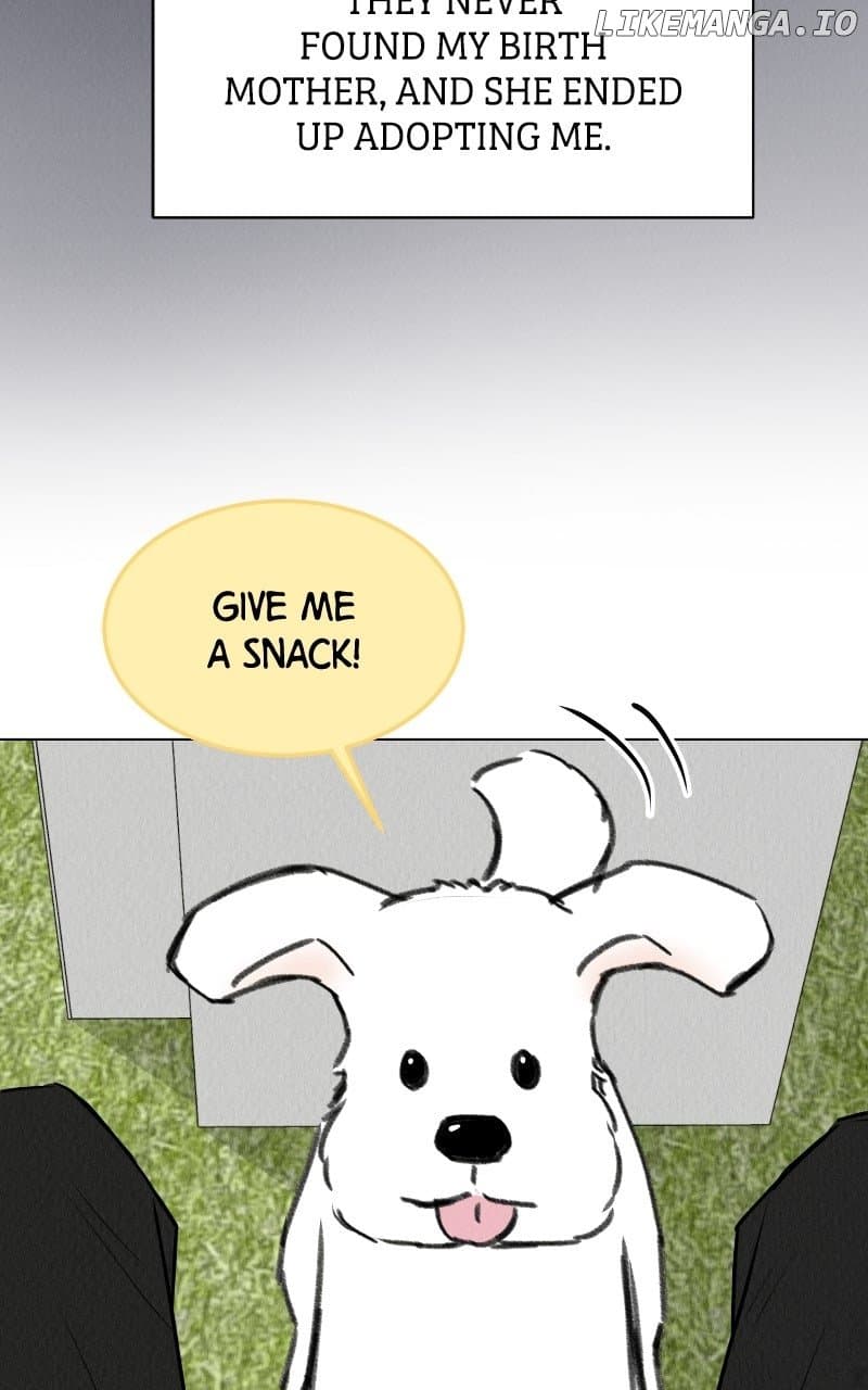 Page https://readmanhwaverse.com/images/want-to-see-my-cat/chapter-65/ch_65_63.jpg
